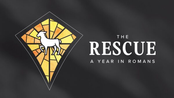 The Rescue